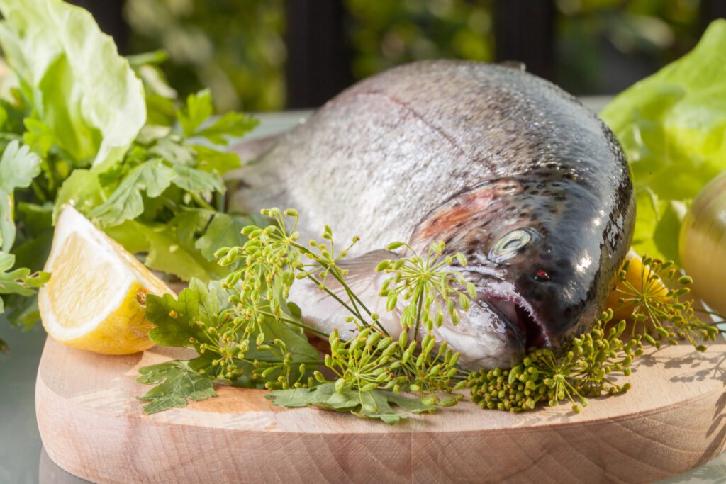 fresh trout prepared for cooking